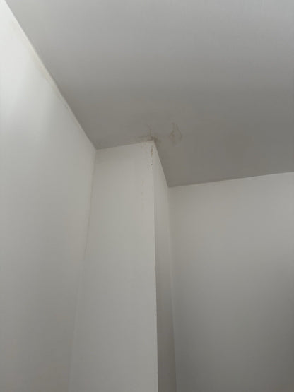 44720577
