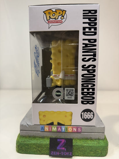 45664851
